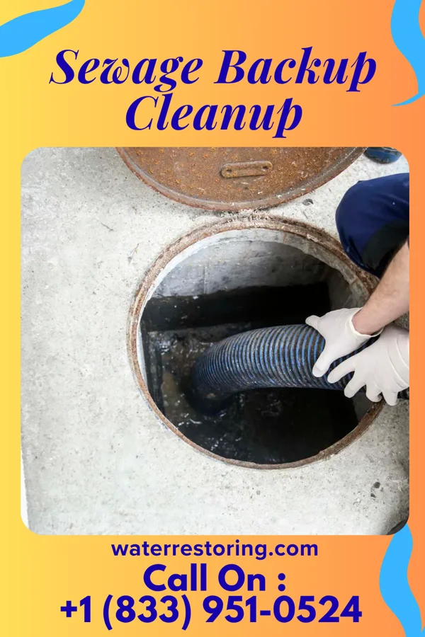 Sewage Backup Cleanup in Saltillo, PA