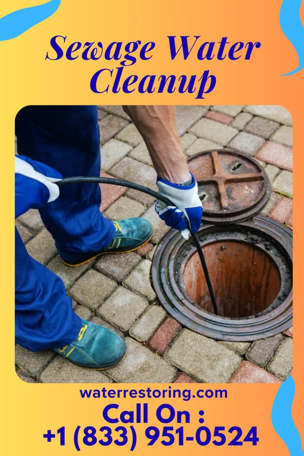 Sewage Water Cleanup in Saltillo, PA