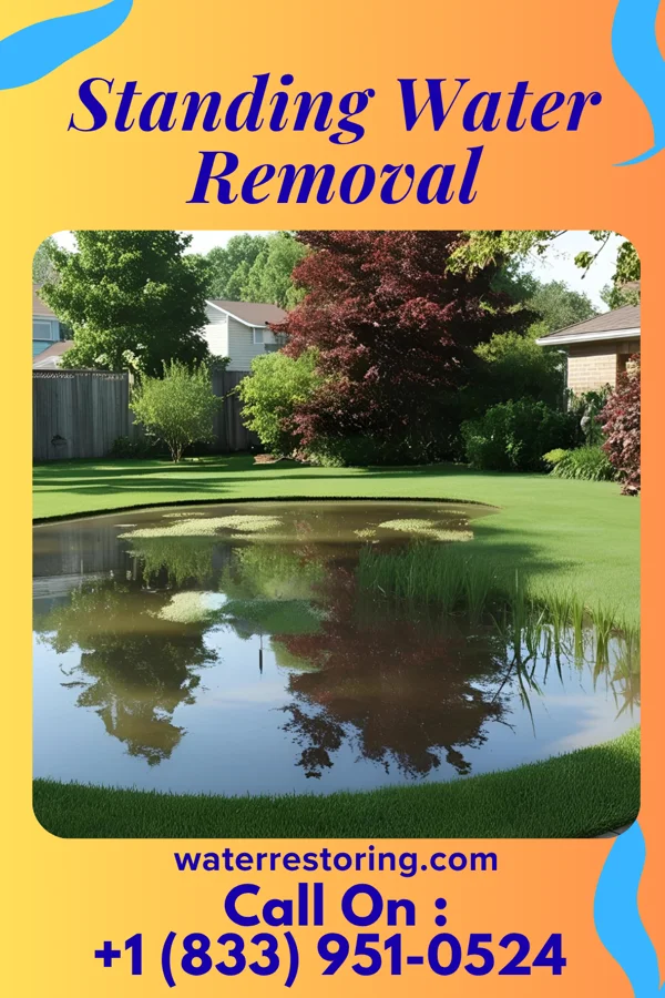 Standing Water Removal in Saltillo, PA
